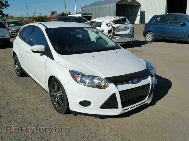 Photo 1FADP3K26DL316381 - FORD FOCUS 2013