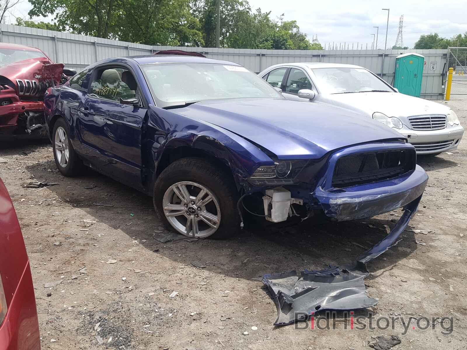 Photo 1ZVBP8AM3E5303124 - FORD MUSTANG 2014