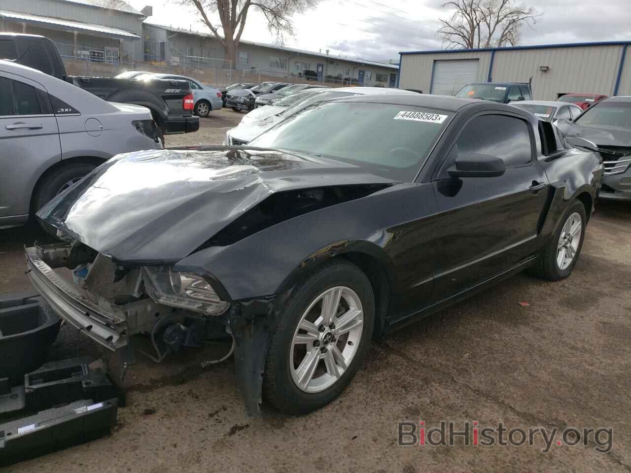 Photo 1ZVBP8AM9E5315519 - FORD MUSTANG 2014