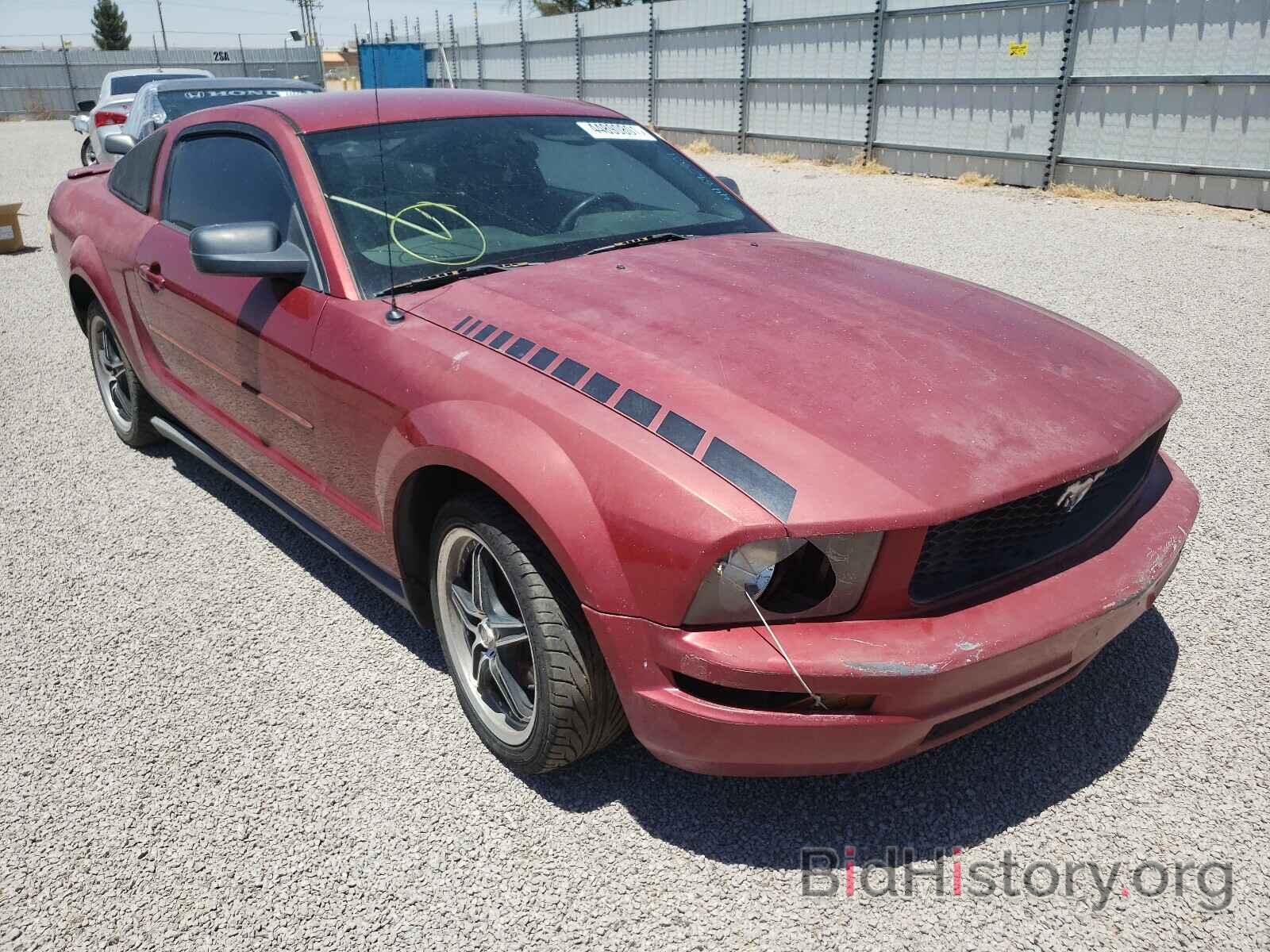 Photo 1ZVFT80N175318411 - FORD MUSTANG 2007