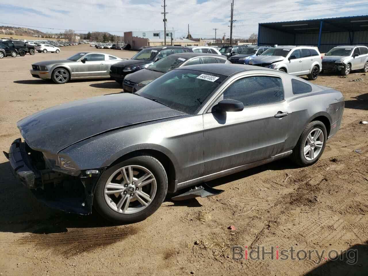 Photo 1ZVBP8AM8D5249785 - FORD MUSTANG 2013