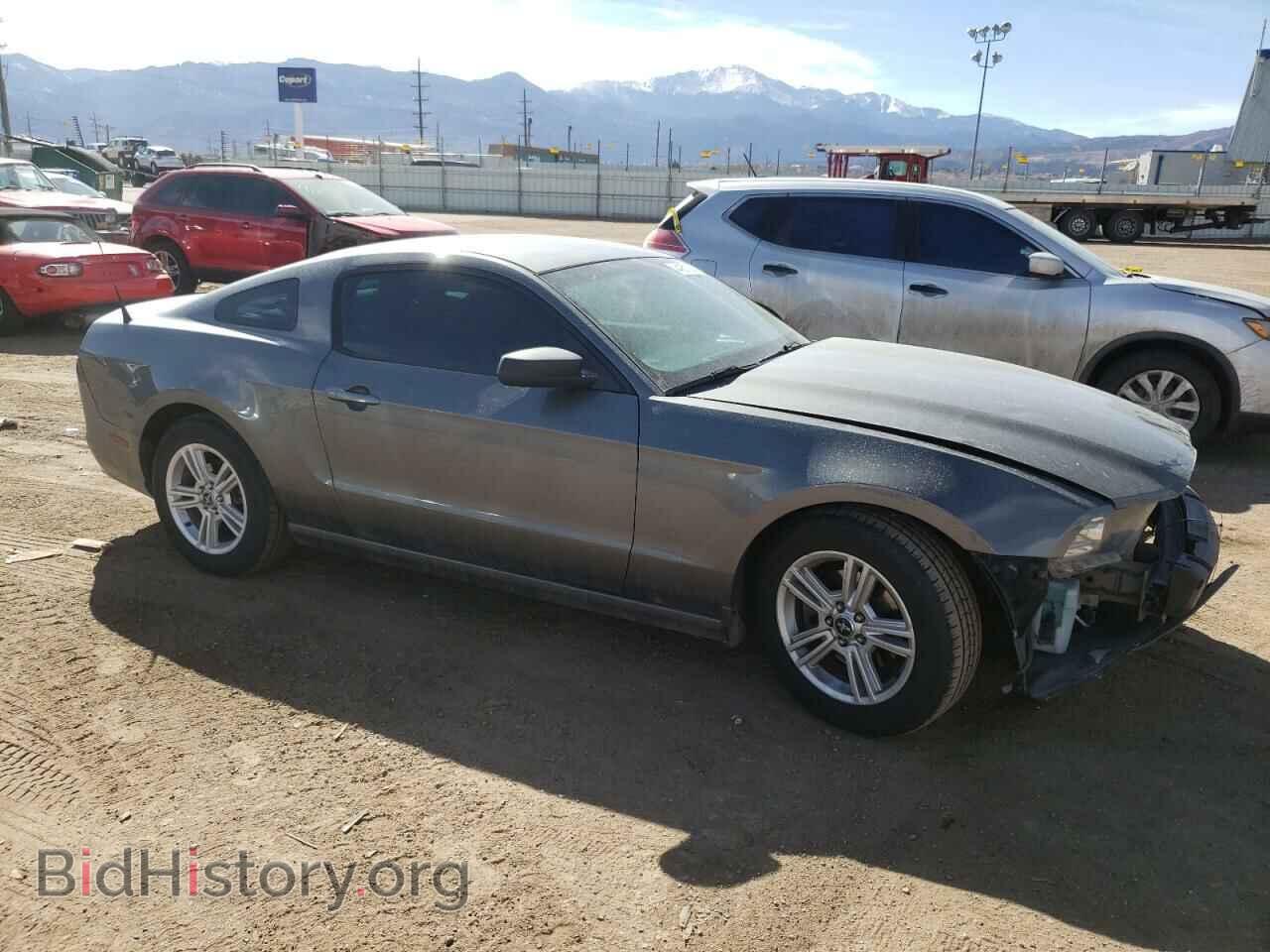 2013 FORD MUSTANG - VIN: 1ZVBP8AM8D5249785 - Фото 4
