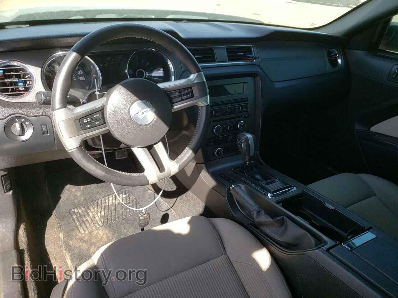 2013 FORD MUSTANG - VIN: 1ZVBP8AM8D5249785 - Фото 8