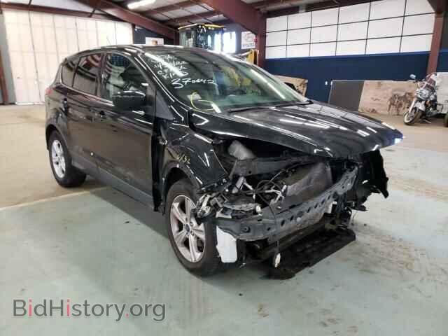 Photo 1FMCU0GX1EUC70001 - FORD ESCAPE 2014