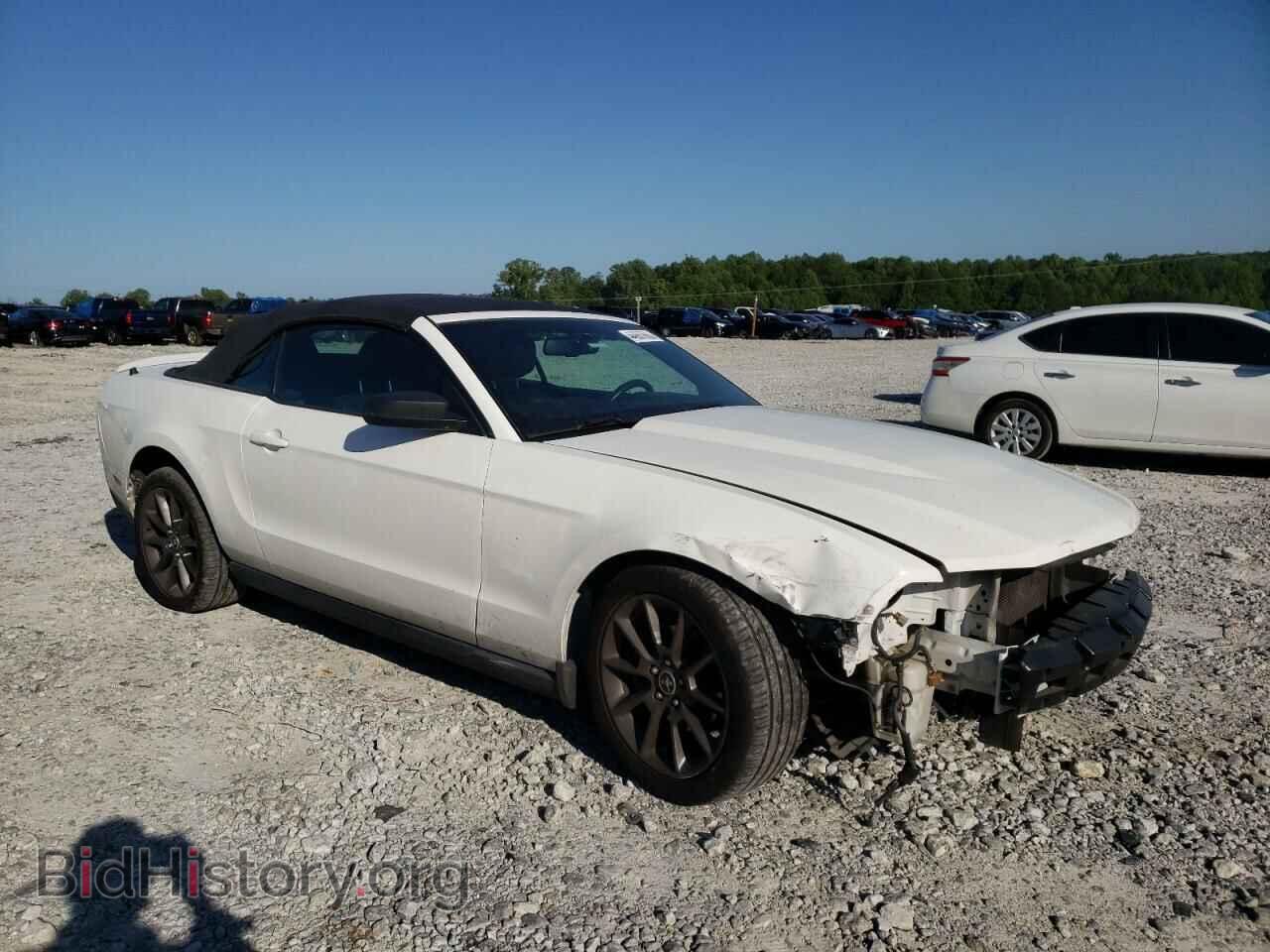 Photo 1ZVBP8EM7B5123876 - FORD MUSTANG 2011