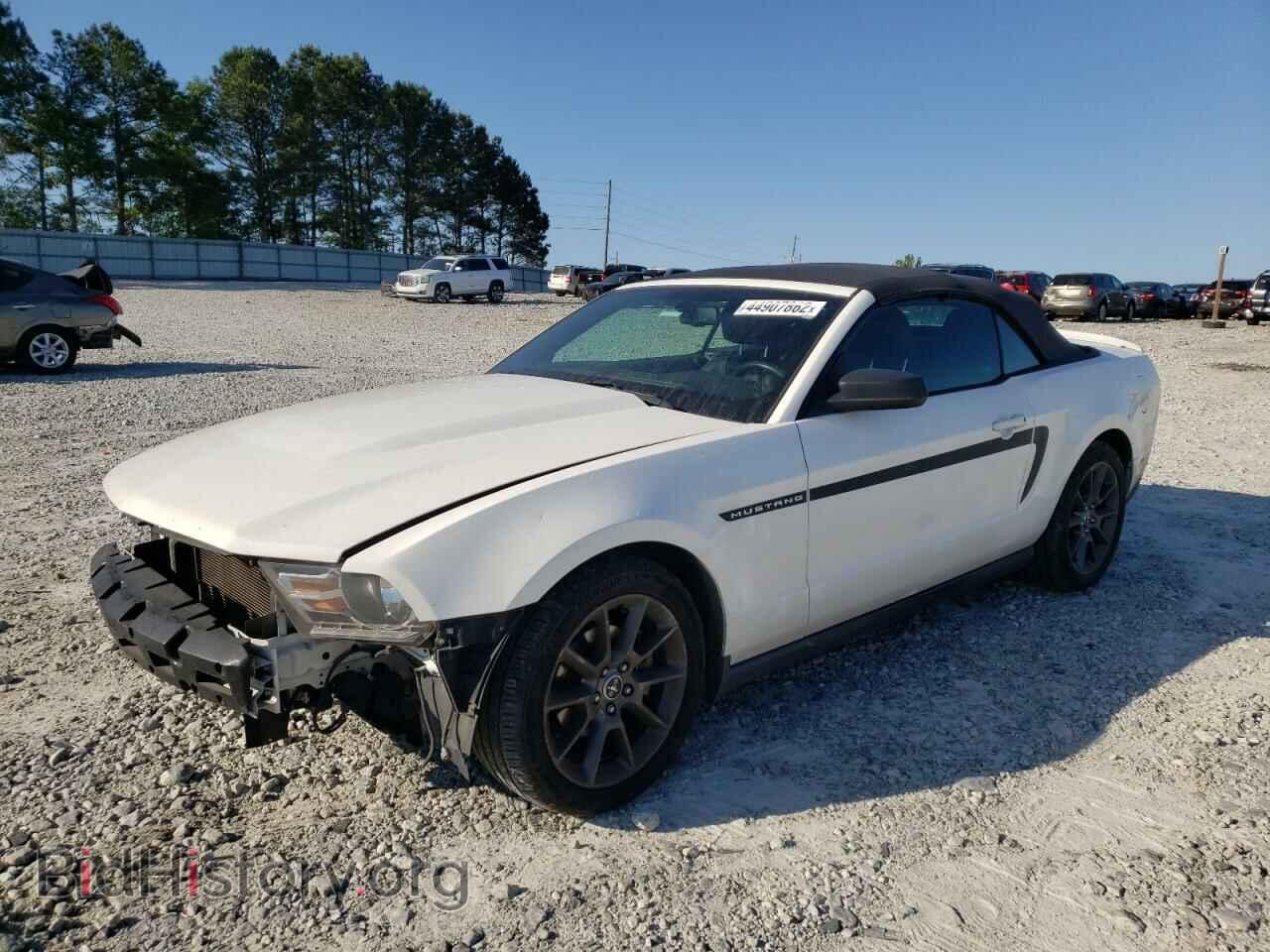 2011 FORD MUSTANG - VIN: 1ZVBP8EM7B5123876 - Фото 2