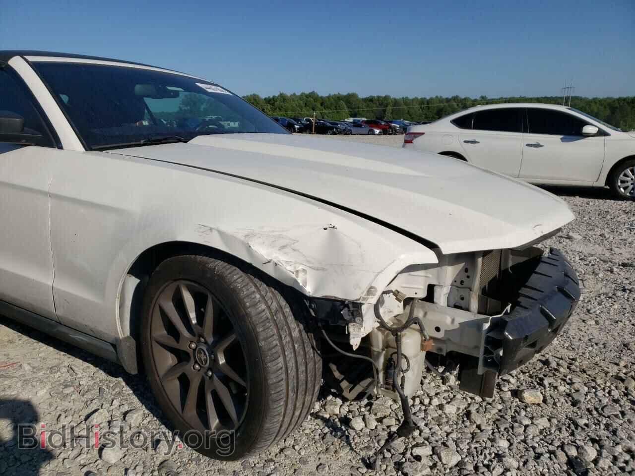 2011 FORD MUSTANG - VIN: 1ZVBP8EM7B5123876 - Фото 9