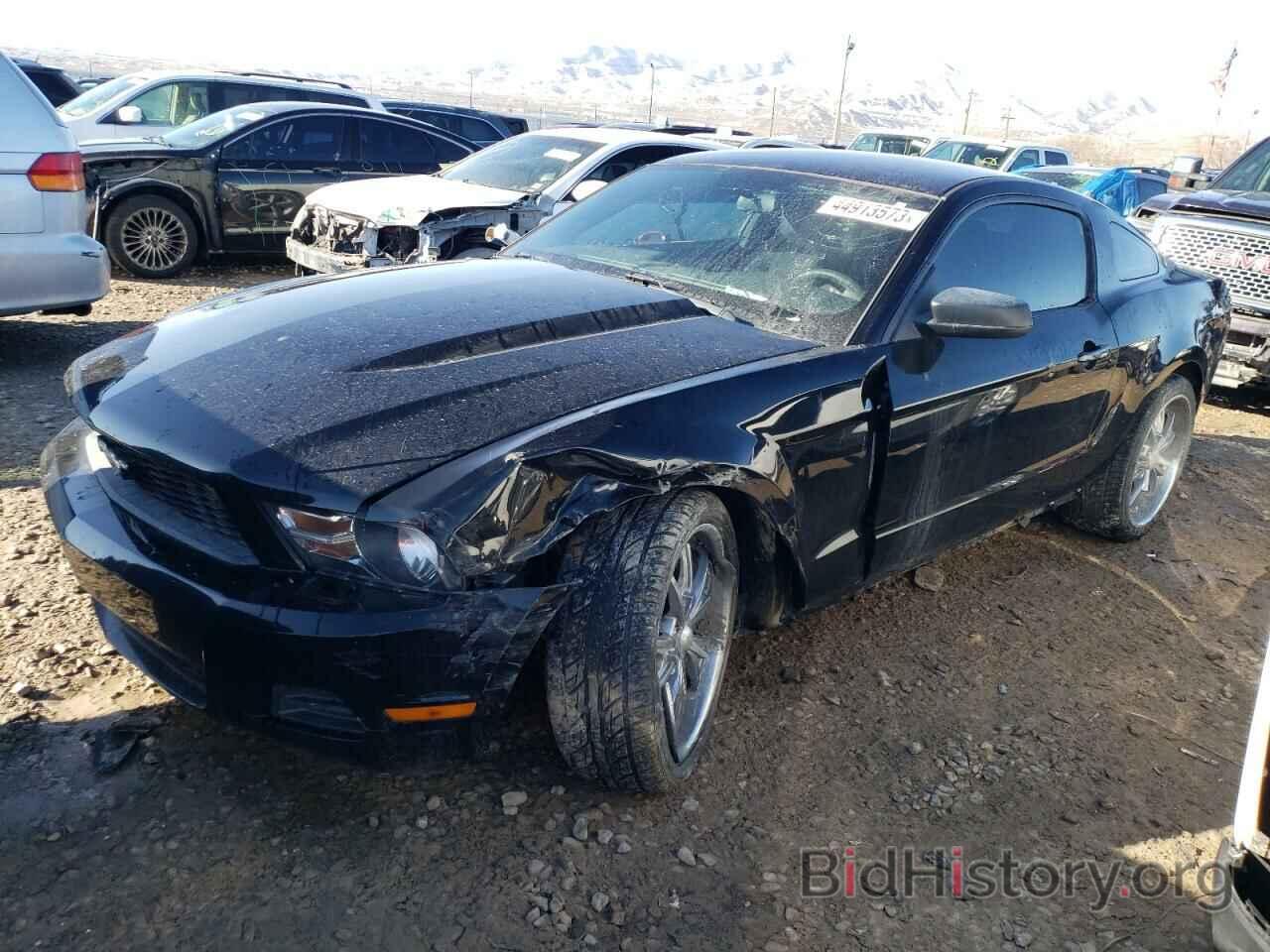 Photo 1ZVBP8AM1C5260657 - FORD MUSTANG 2012