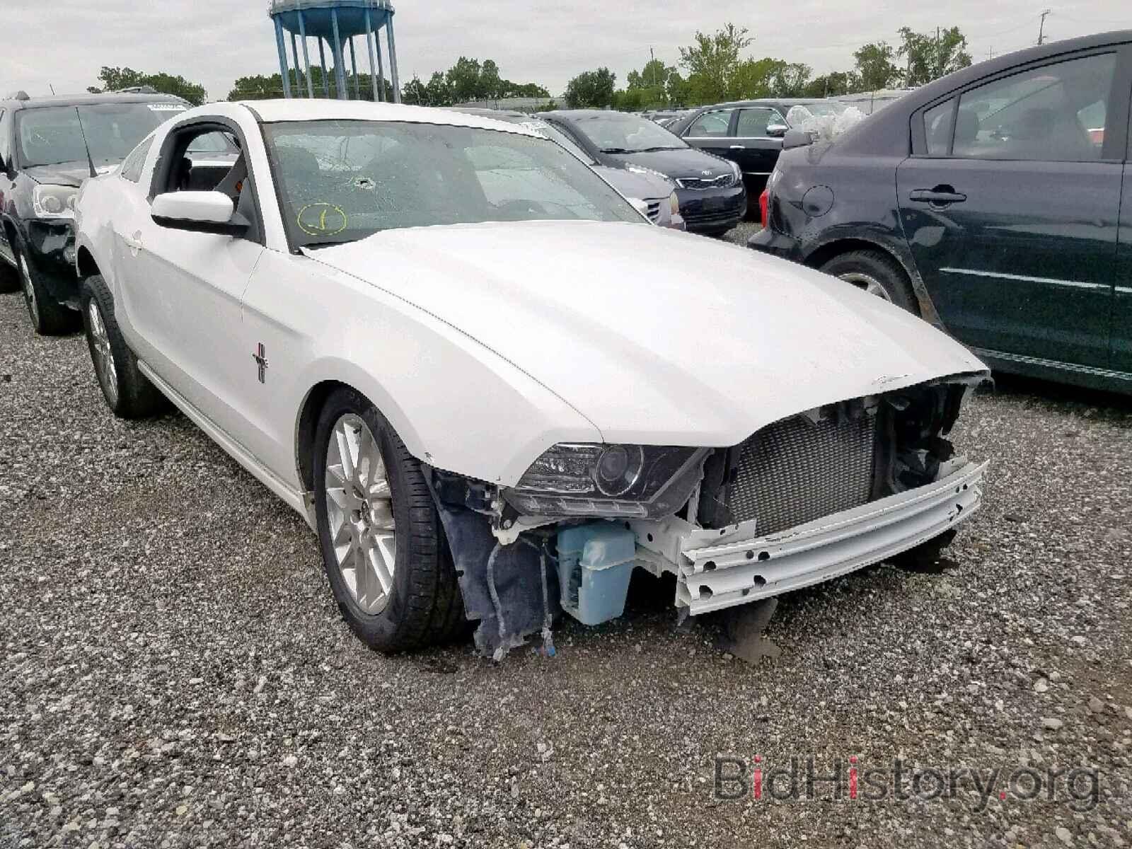 Photo 1ZVBP8AMXD5275627 - FORD MUSTANG 2013