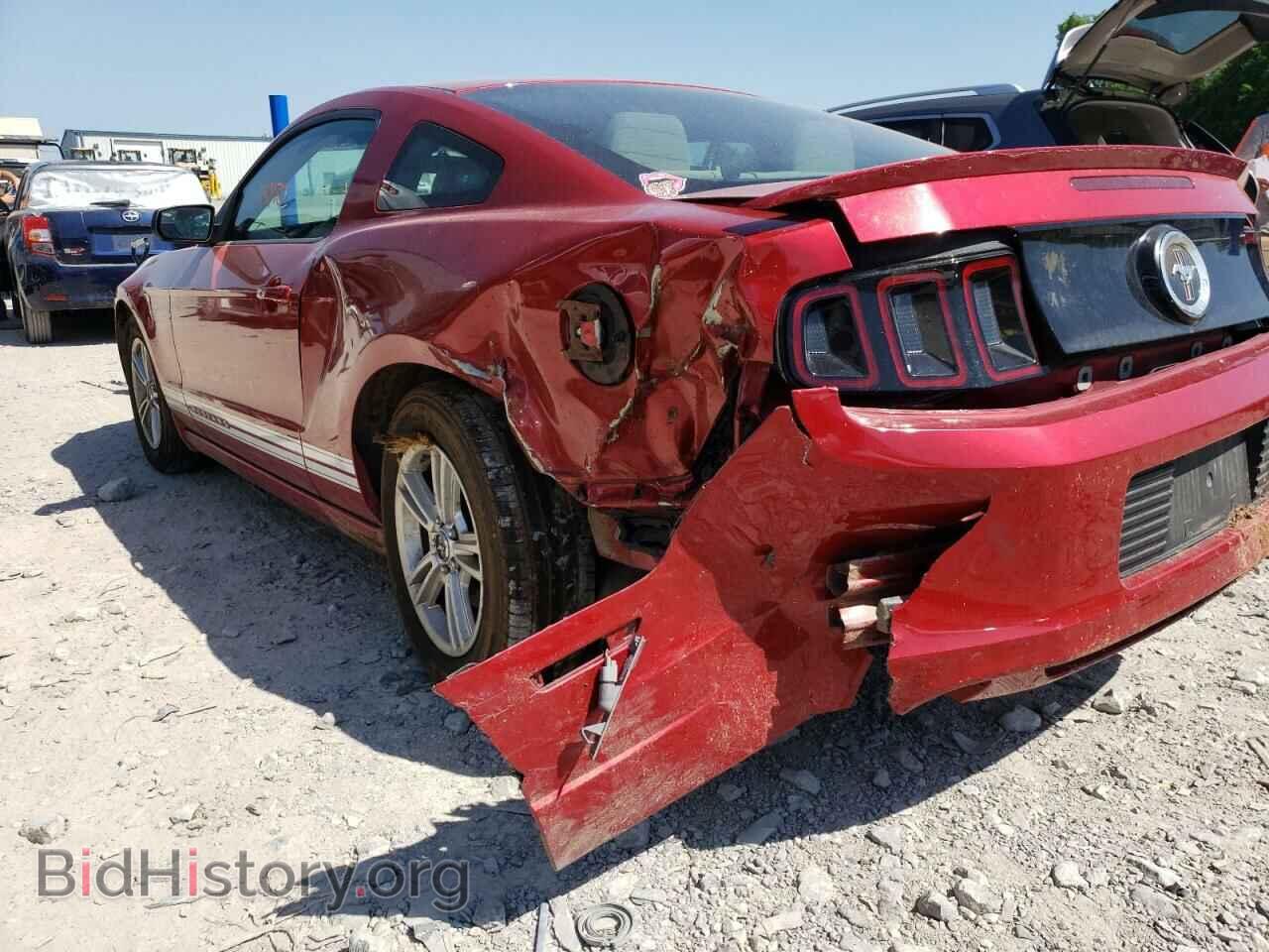 2013 FORD MUSTANG - VIN: 1ZVBP8AM8D5261015 - Фото 9