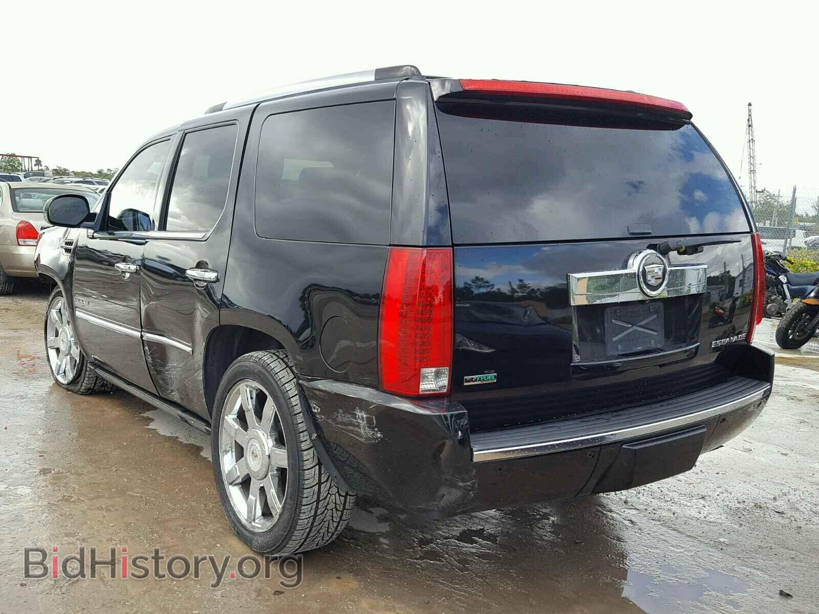 2010 CADILLAC ESCALADE - VIN: 1GYUCCEF8AR156768 - Фото 3