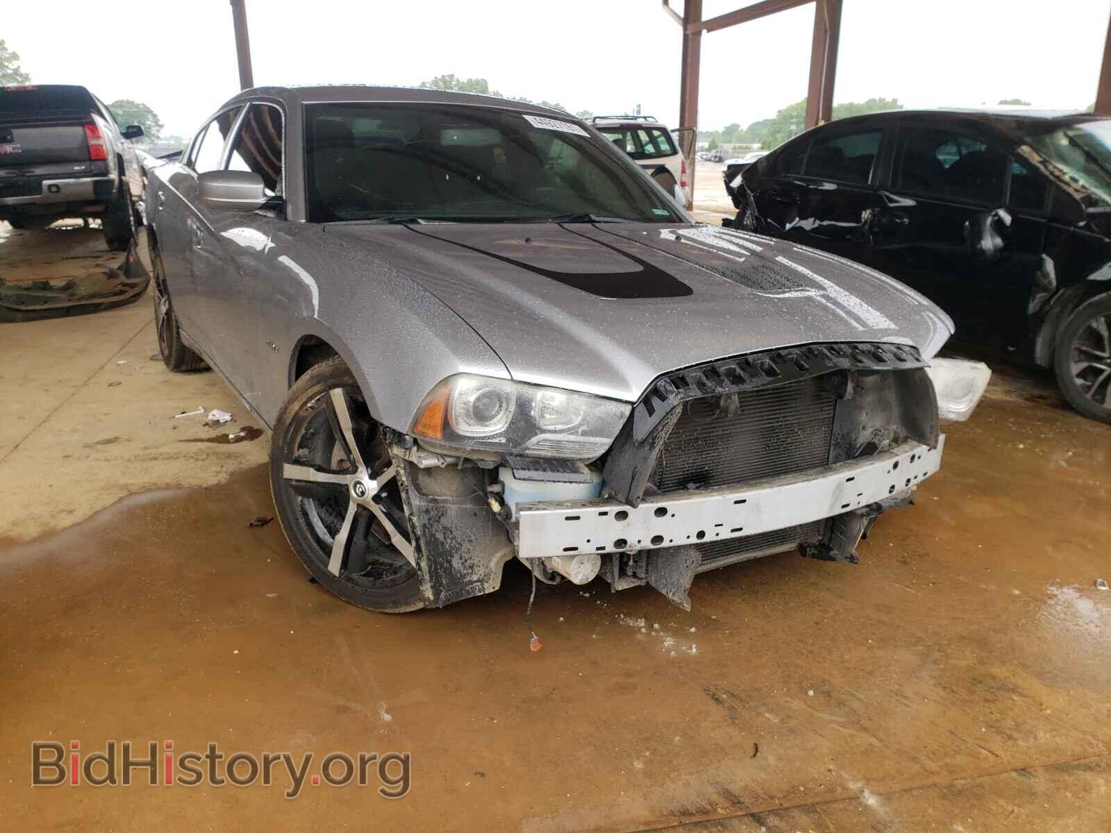 Photo 2C3CDXCT2DH725668 - DODGE CHARGER 2013