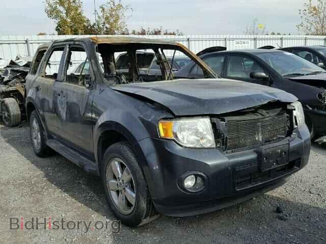 Фотография 1FMCU93G09KC48633 - FORD ESCAPE 2009