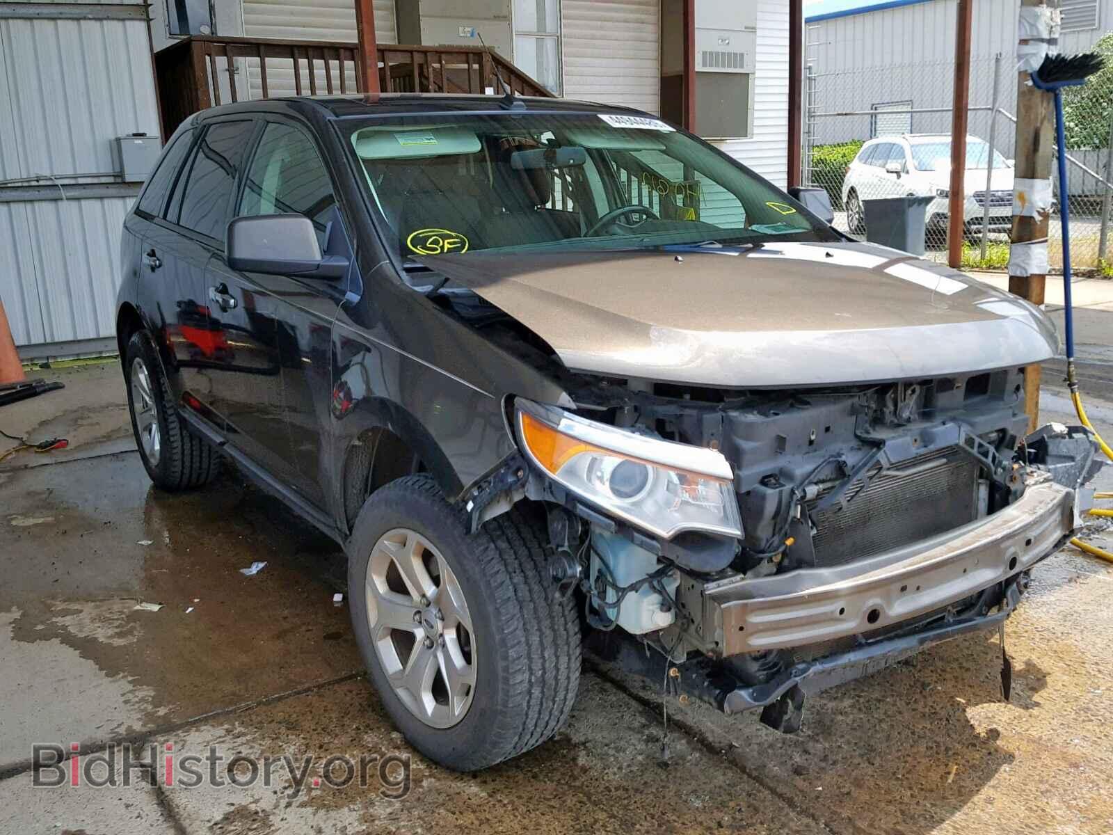 Photo 2FMDK4JC2BBA83343 - FORD EDGE SEL 2011