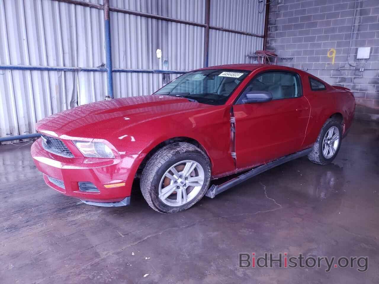 Photo 1ZVBP8AN0A5102610 - FORD MUSTANG 2010
