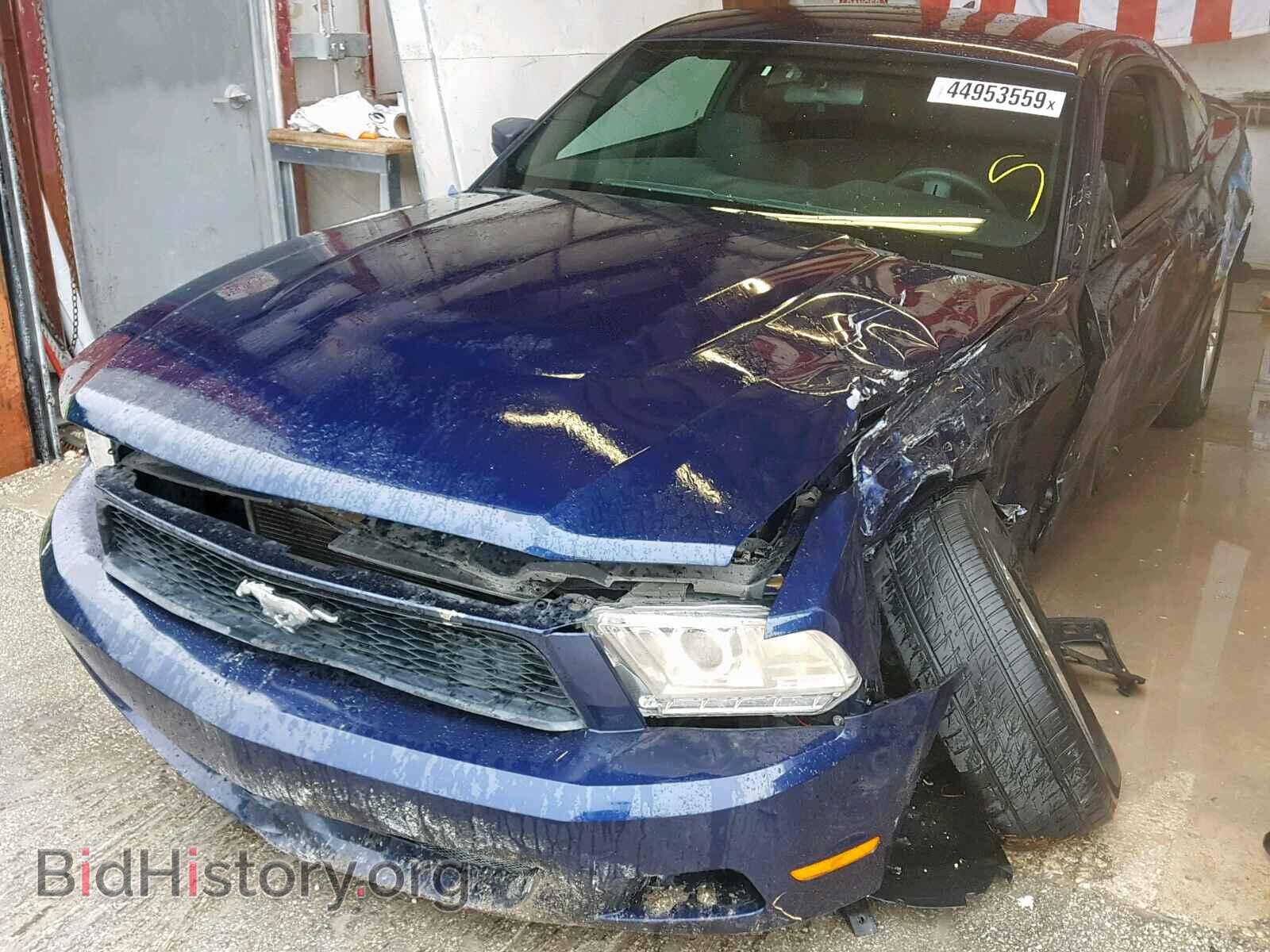 2012 FORD MUSTANG - VIN: 1ZVBP8AM0C5273657 - Фото 2