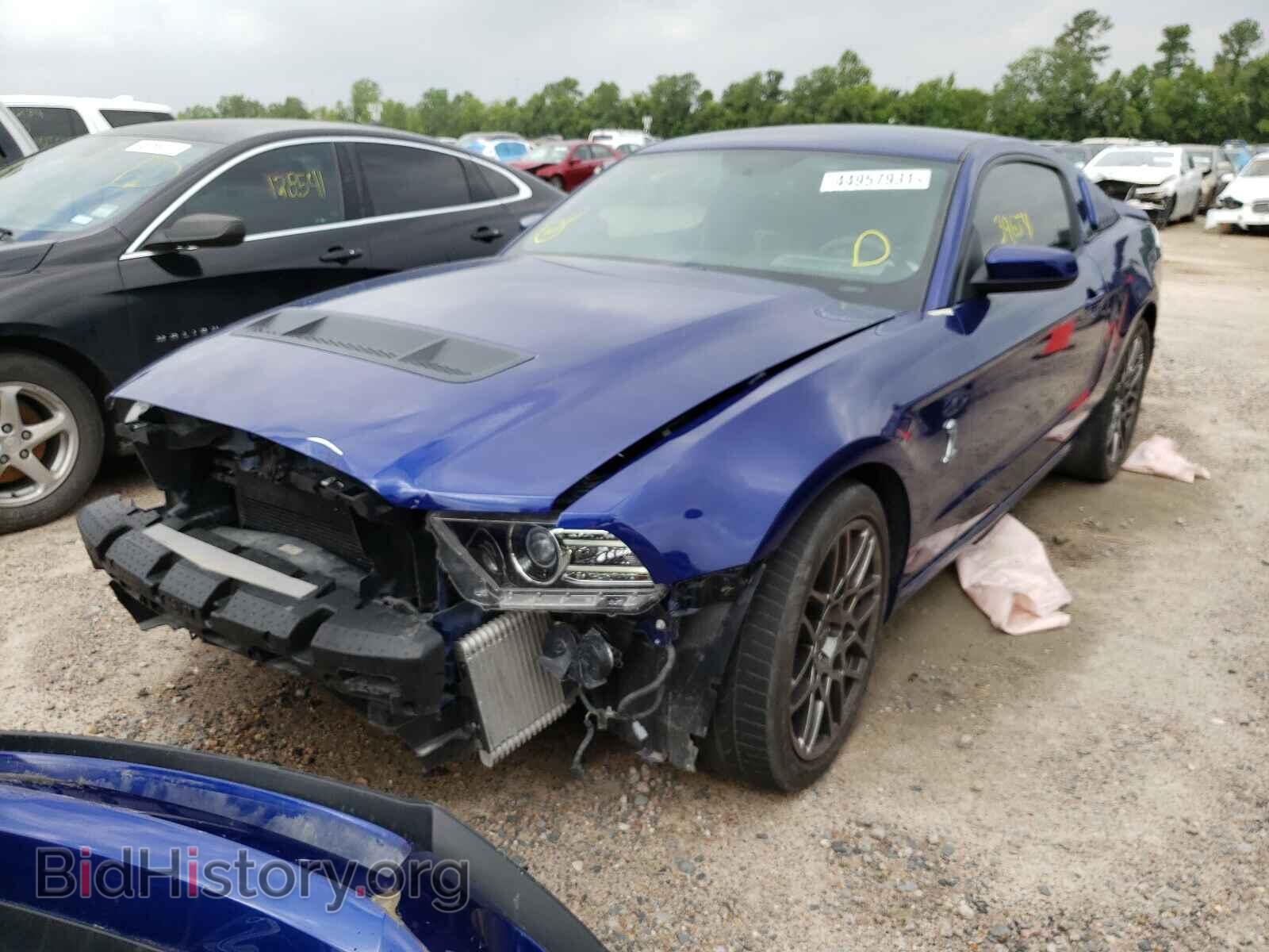 2013 FORD MUSTANG - VIN: 1ZVBP8JZ1D5266584 - Фото 2