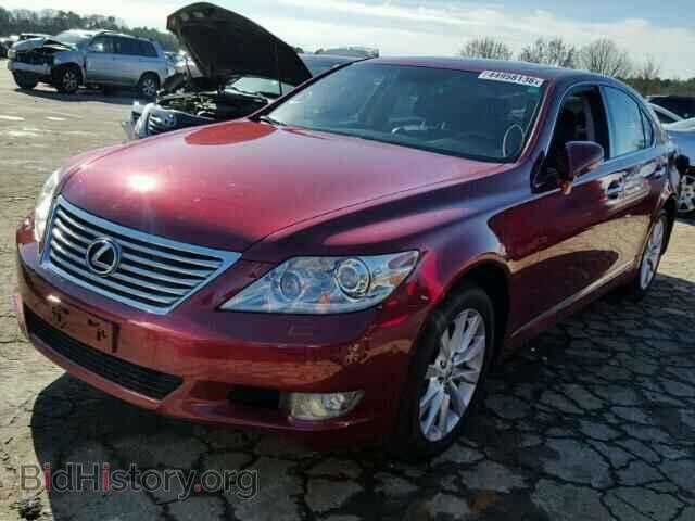 2010 LEXUS LS460 - VIN: JTHCL5EF6A5008170 - Фото 2