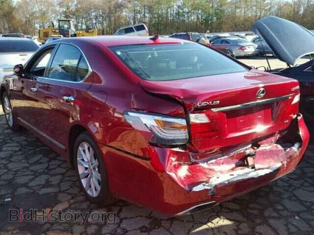 2010 LEXUS LS460 - VIN: JTHCL5EF6A5008170 - Фото 3