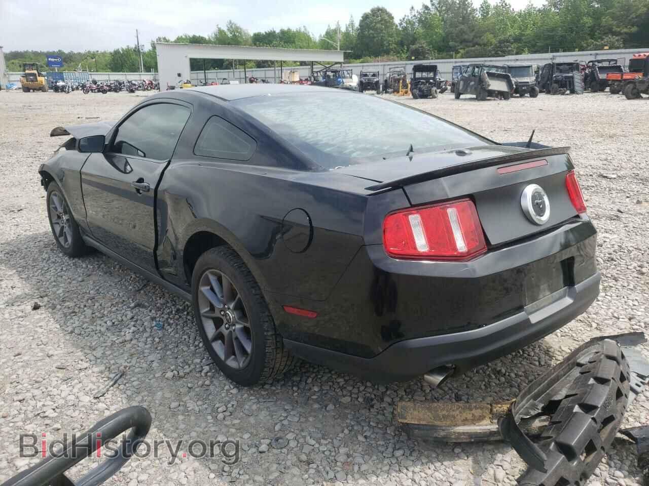 2011 FORD MUSTANG - VIN: 1ZVBP8AM7B5102015 - Фото 3