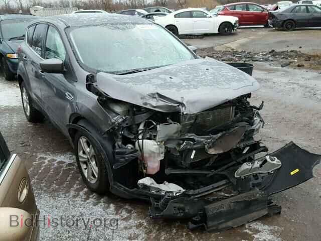 Фотография 1FMCU0GX9DUA46442 - FORD ESCAPE 2013