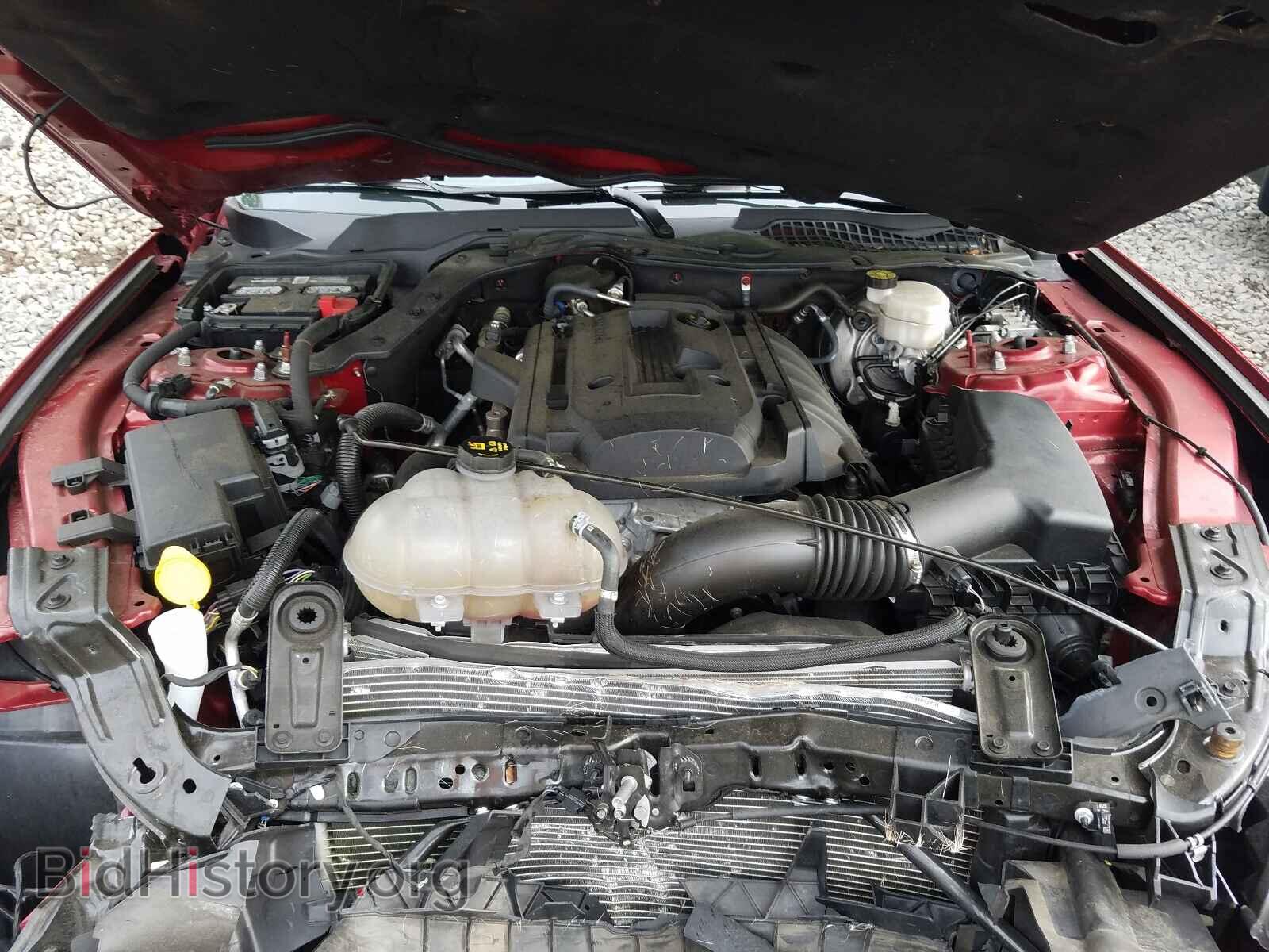 2019 FORD MUSTANG - VIN: 1FA6P8TH0K5159506 - Фото 7