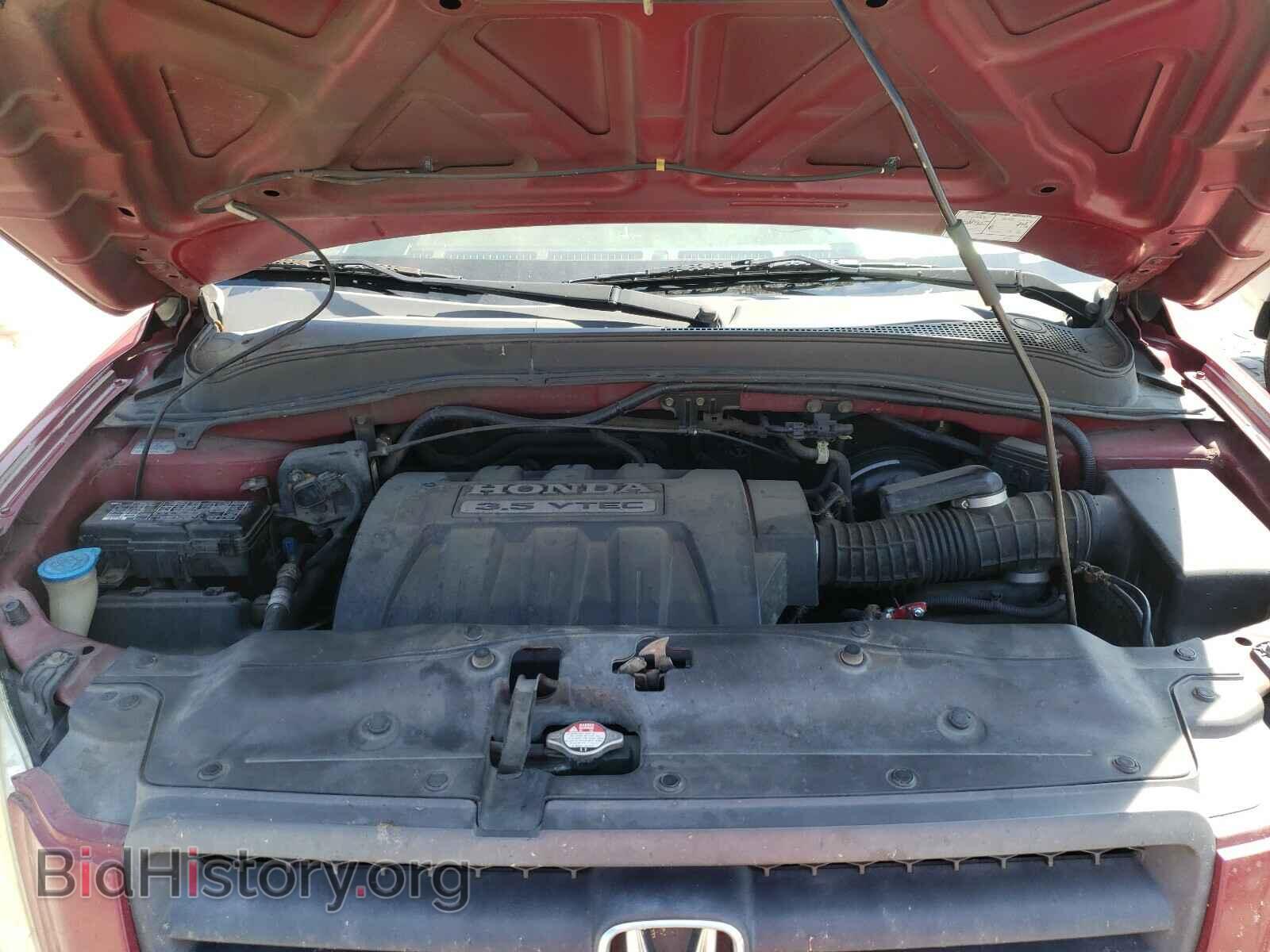 2005 HONDA PILOT - VIN: 5FNYF18505B049196 - Фото 7