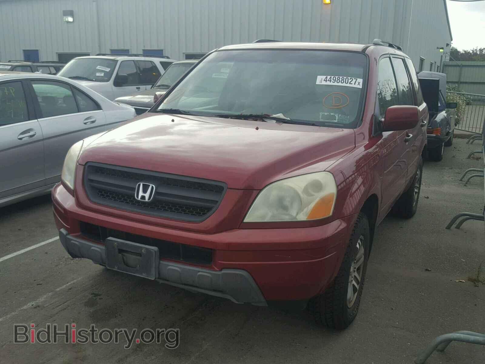 2005 HONDA PILOT - VIN: 5FNYF185X5B009479 - Фото 2