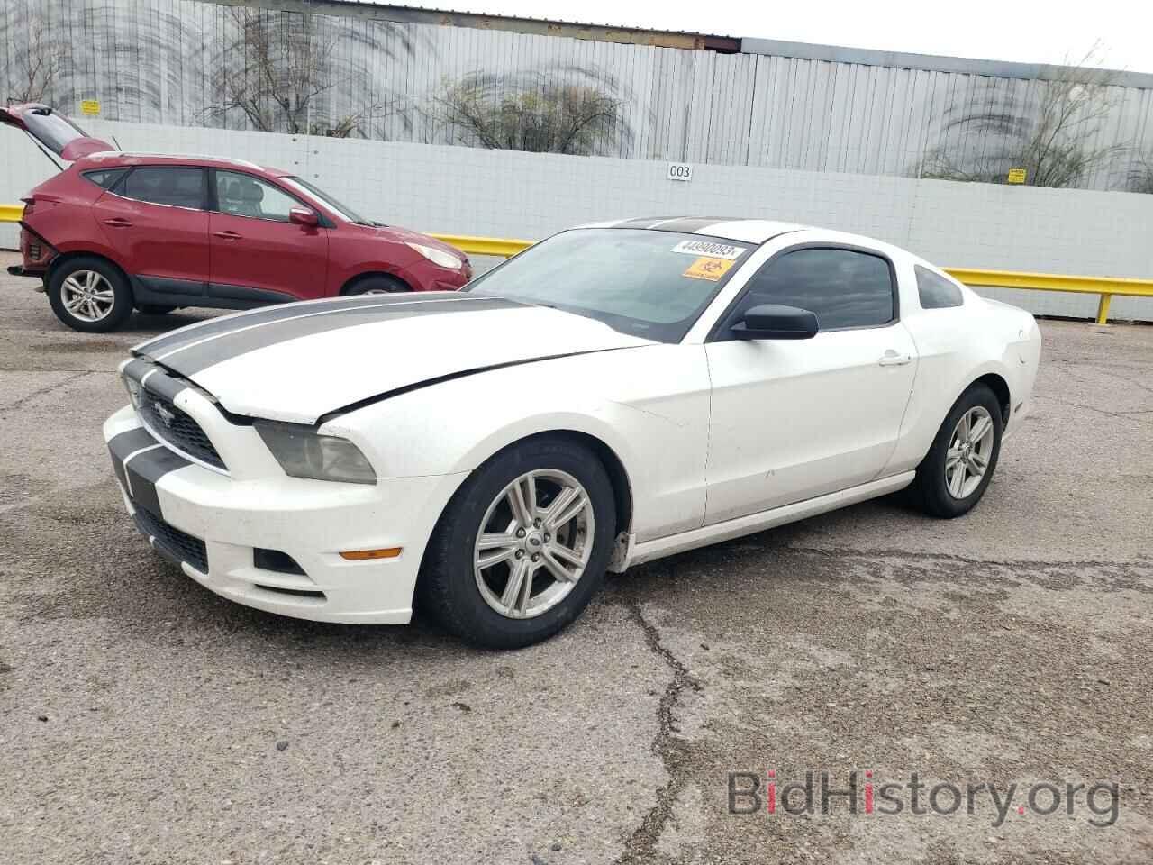 Photo 1ZVBP8AM0D5275474 - FORD MUSTANG 2013
