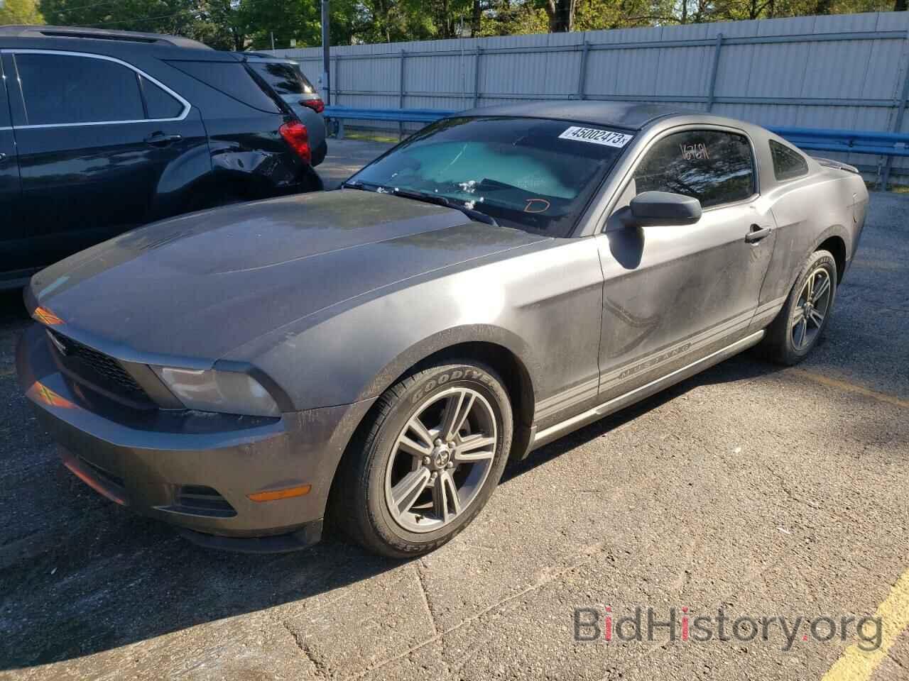 Photo 1ZVBP8AN9A5147836 - FORD MUSTANG 2010