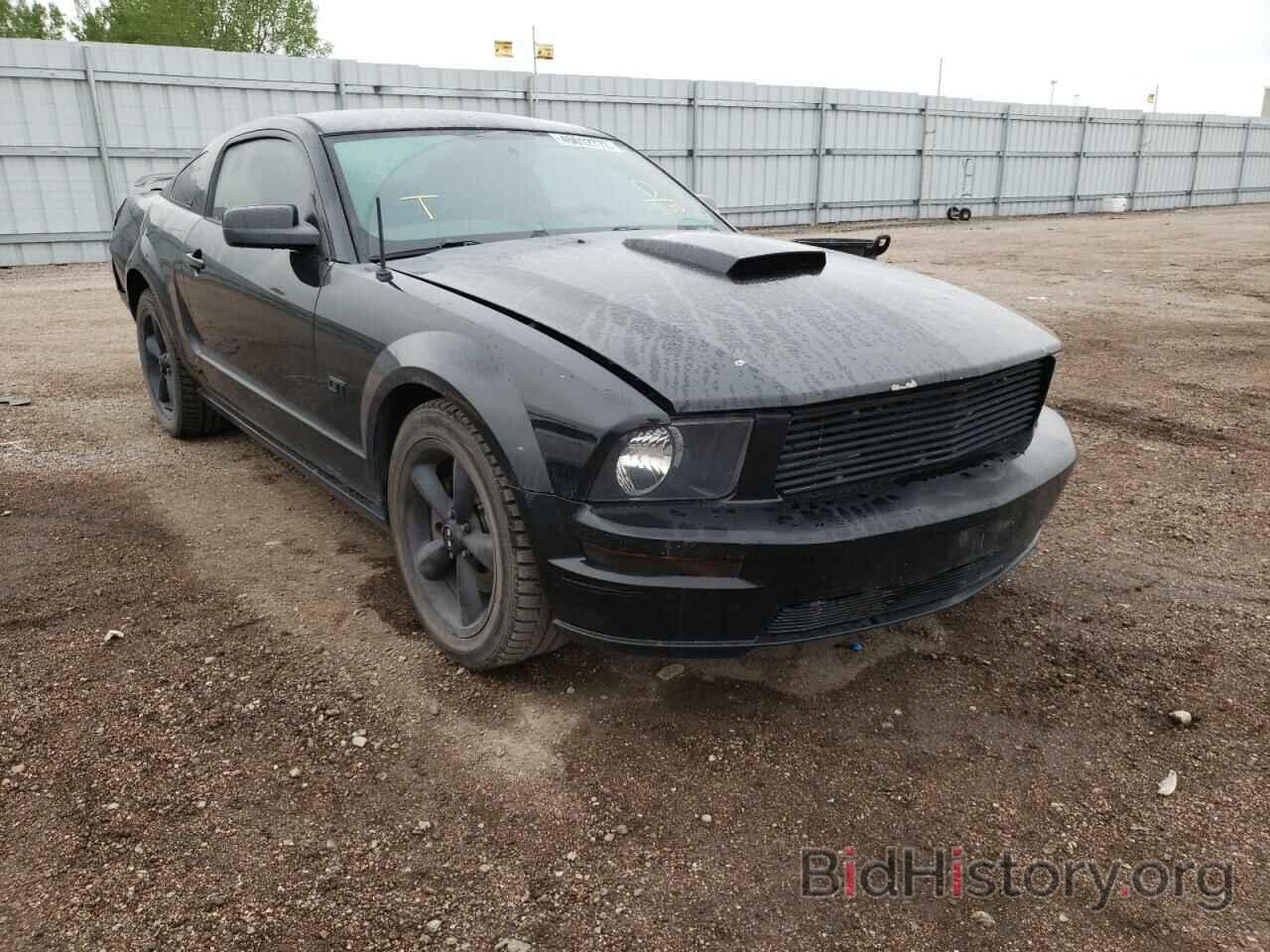 Photo 1ZVHT82H185192102 - FORD MUSTANG 2008