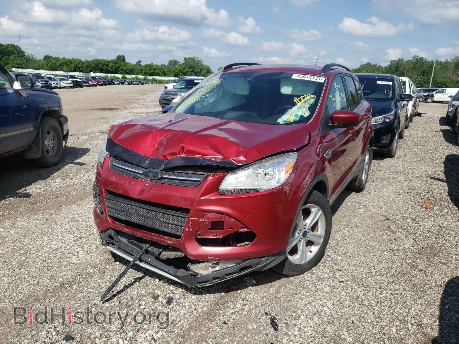 2014 FORD ESCAPE - VIN: 1FMCU0GX2EUD54229 - Фото 2