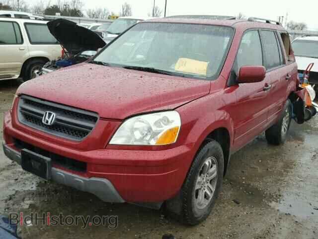 2005 HONDA PILOT - VIN: 2HKYF18595H555286 - Фото 2