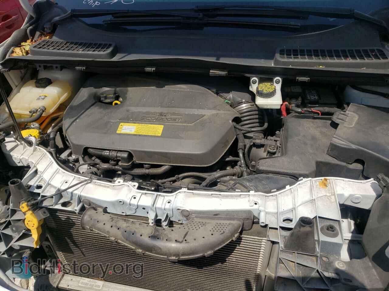 2013 FORD ESCAPE - VIN: 1FMCU0GX6DUC76200 - Фото 7