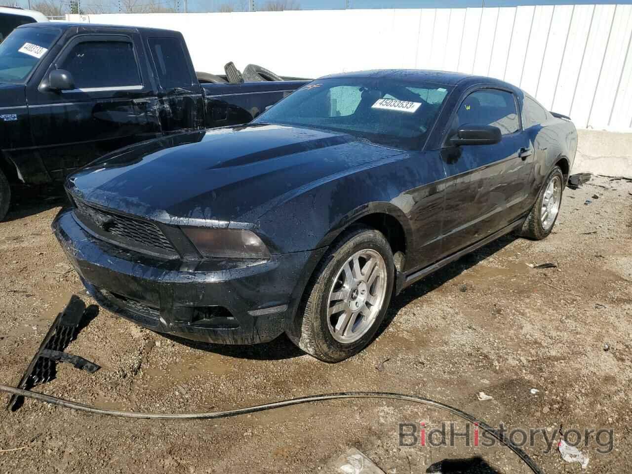 Photo 1ZVBP8AN6A5109478 - FORD MUSTANG 2010