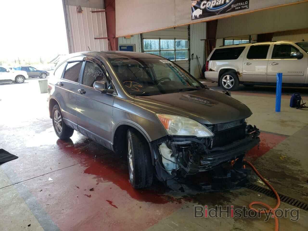 Photo 5J6RE4H77AL015557 - HONDA CRV 2010