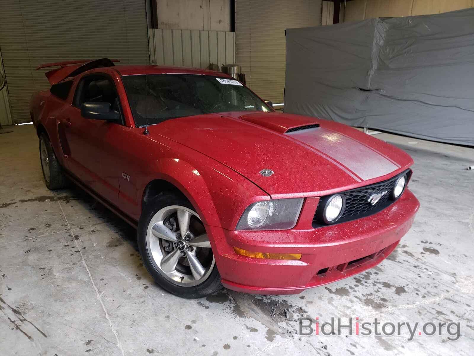Photo 1ZVHT82H185103502 - FORD MUSTANG 2008