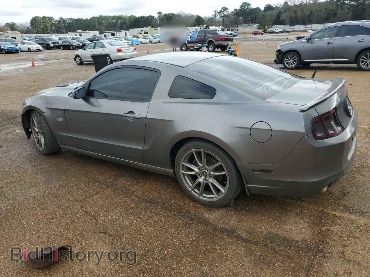 2014 FORD MUSTANG - VIN: 1ZVBP8CF8E5281264 - Фото 2