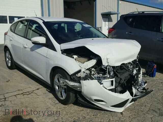 Фотография 1FADP3K28DL325356 - FORD FOCUS 2013