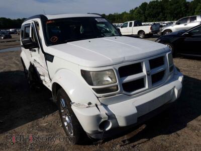 2011 Dodge NITRO Nitro Heat, white — VIN 1D4PU4GK9BW514546, Copart