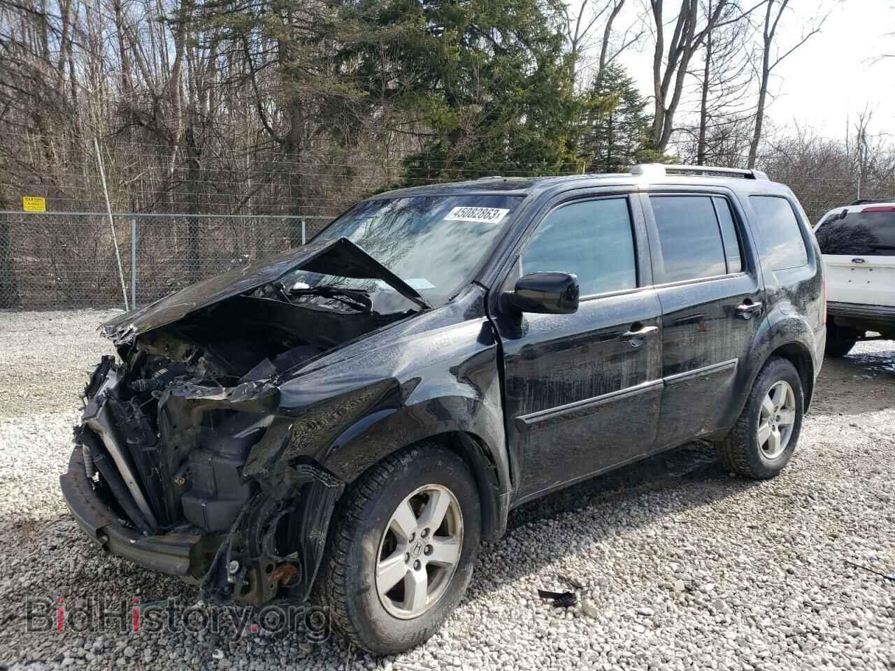 Фотография 5FNYF4H57BB023420 - HONDA PILOT 2011