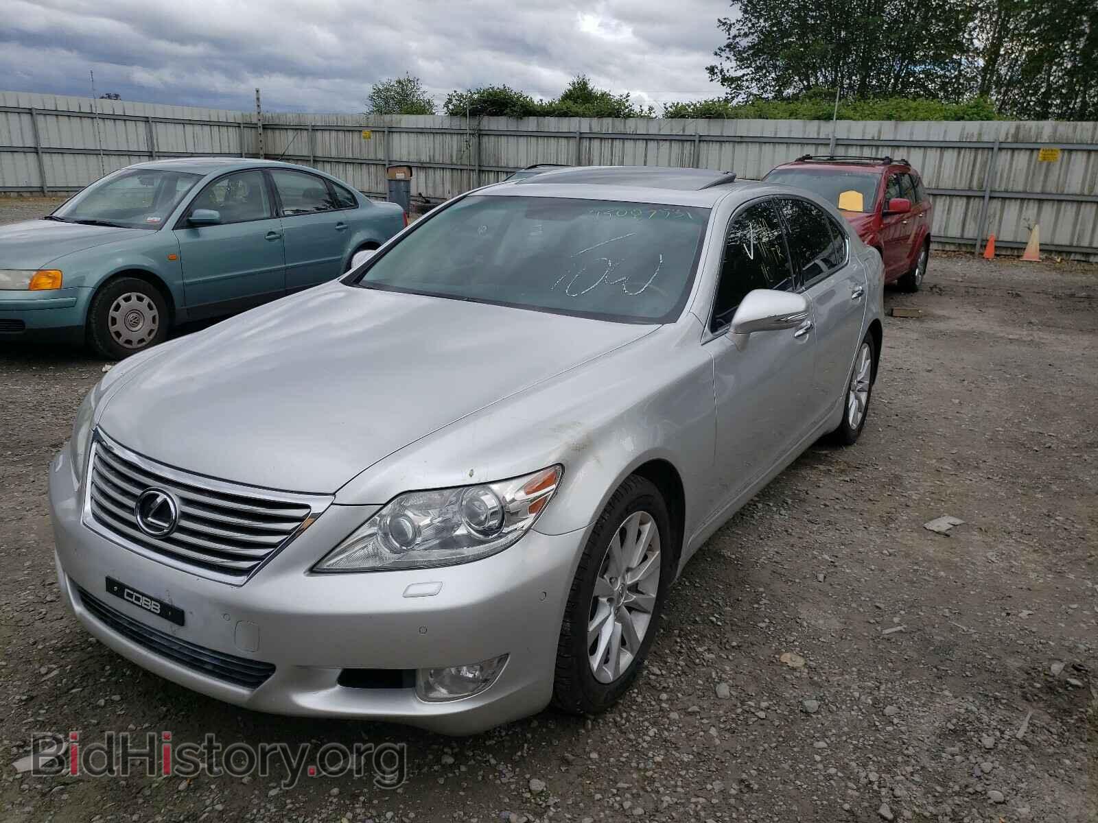 2010 LEXUS LS460 - VIN: JTHCL5EF9A5008745 - Фото 2