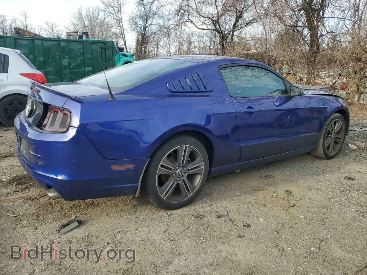 2013 FORD ALL Models - VIN: 1ZVBP8AM1D5225666 - Фото 3