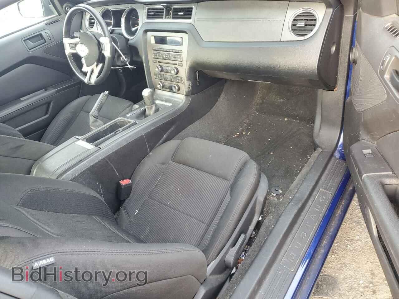 2013 FORD ALL Models - VIN: 1ZVBP8AM1D5225666 - Фото 8