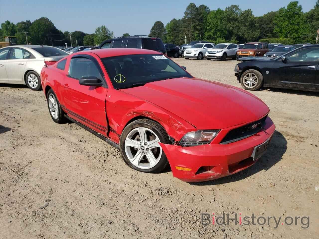 Photo 1ZVBP8AN8A5116884 - FORD MUSTANG 2010