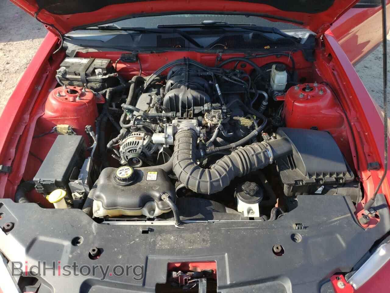 2010 FORD MUSTANG - VIN: 1ZVBP8AN8A5116884 - Фото 7