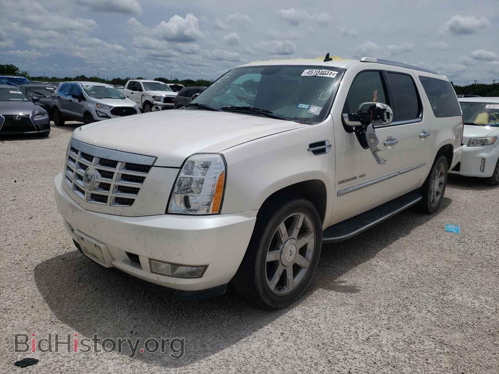 2011 CADILLAC ESCALADE - VIN: 1GYS3HEF5BR219041 - Фото 2