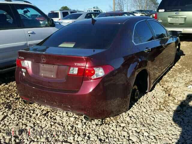 2010 ACURA TSX - VIN: JH4CU2F65AC001328 - Фото 4