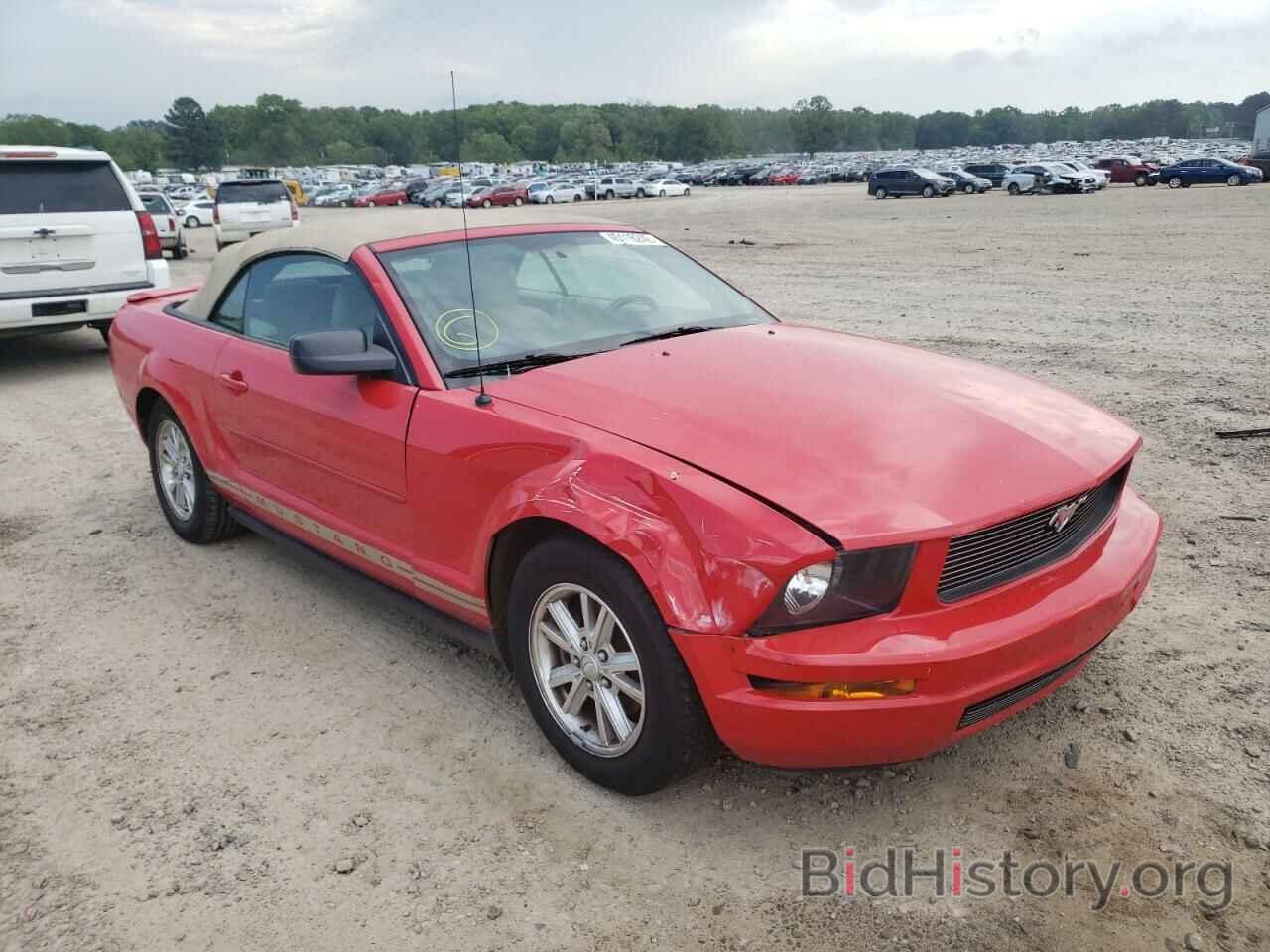 Photo 1ZVHT84N385209100 - FORD MUSTANG 2008
