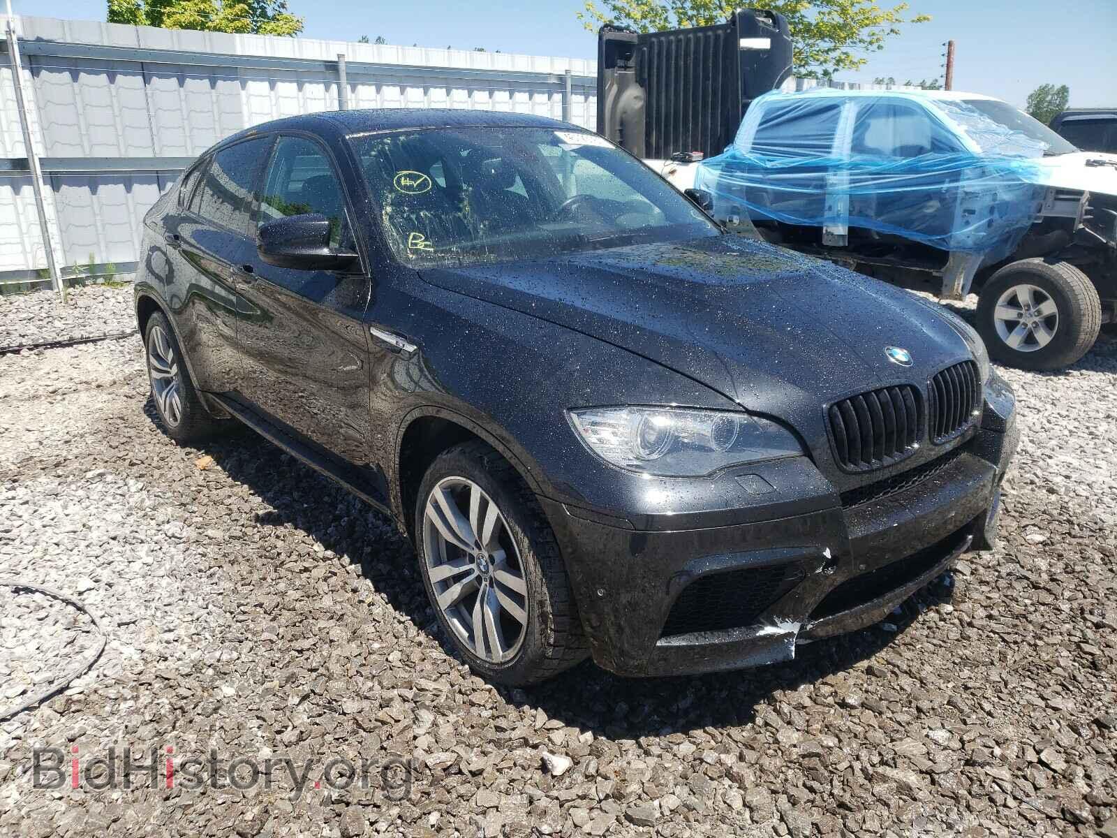 Photo 5YMGZ0C55BLK14308 - BMW X6 2011